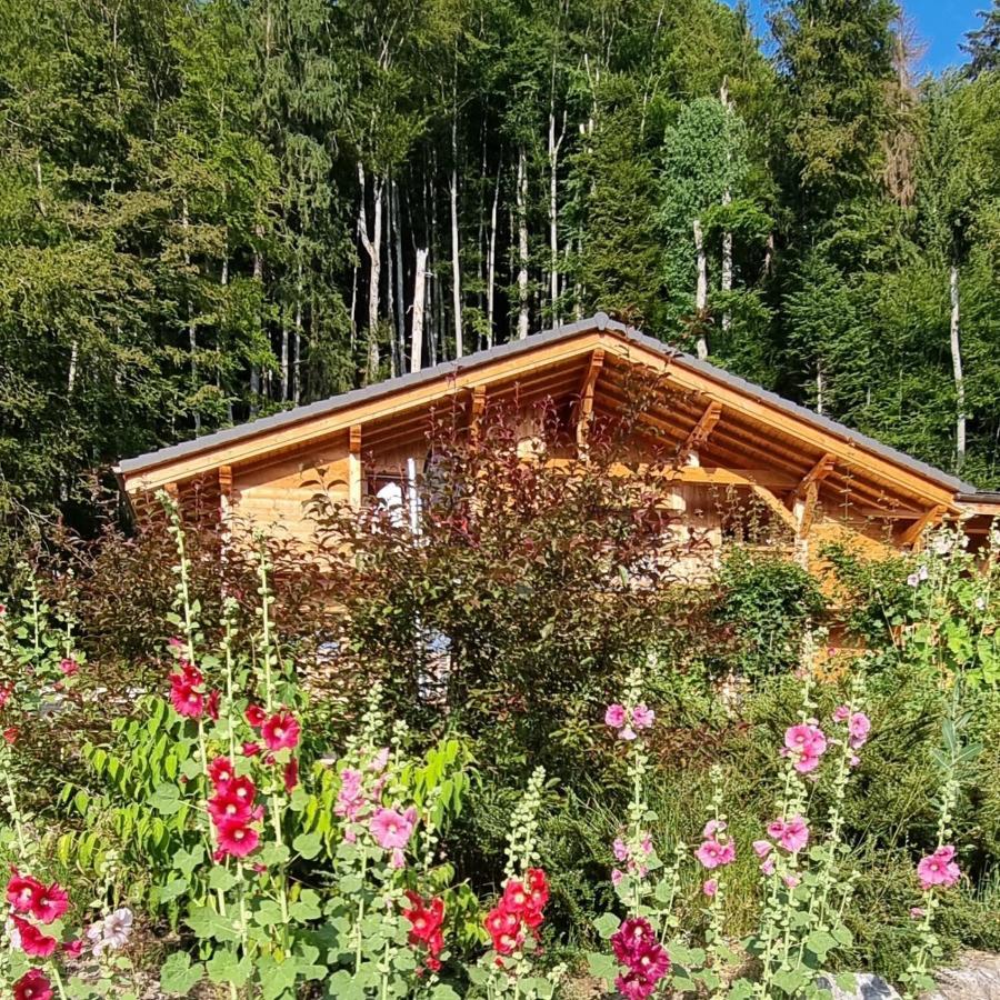 Chalet Arpitan - Les Carroz - Grand Massif Les Carroz d'Arâches Exterior foto