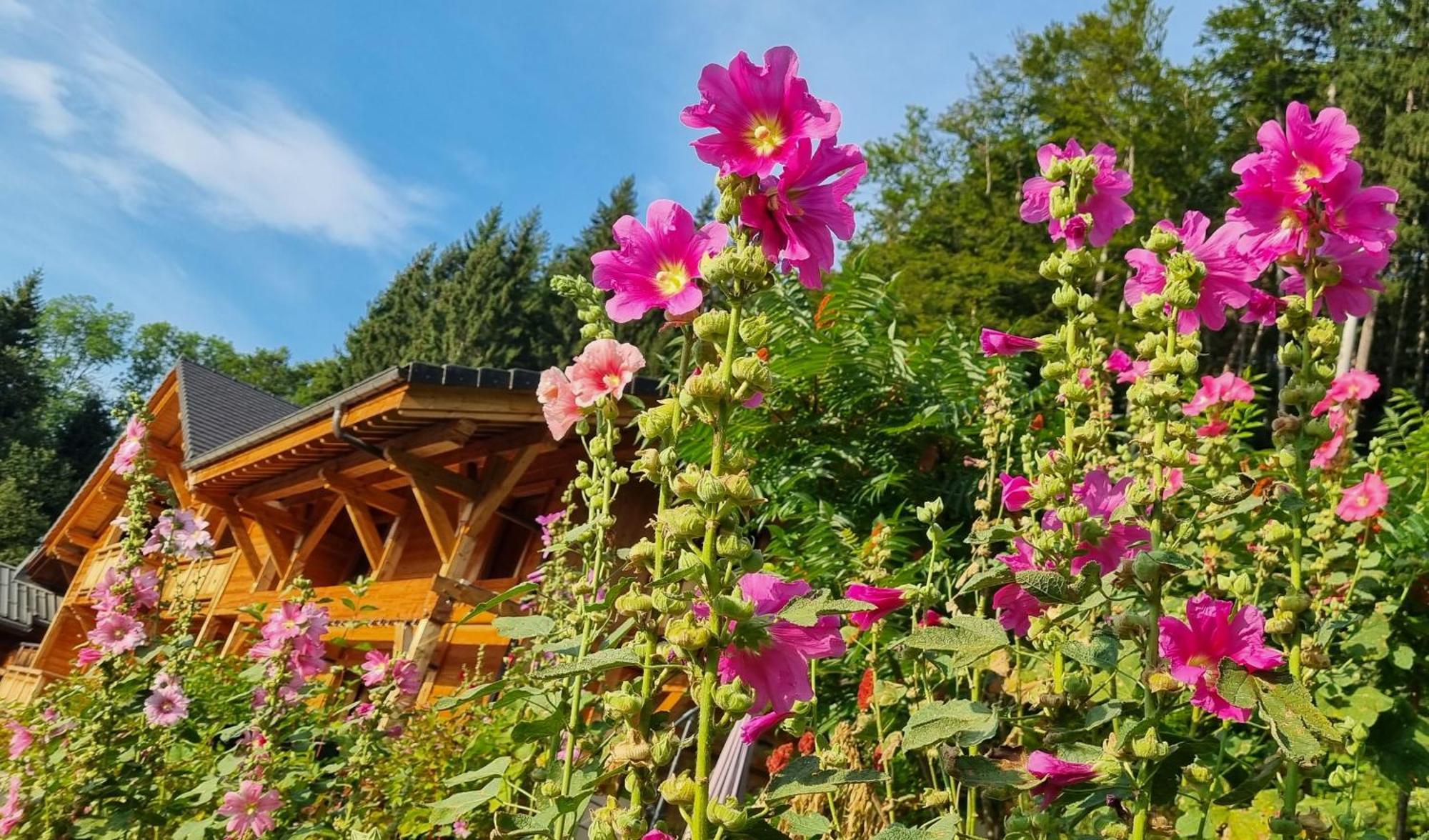 Chalet Arpitan - Les Carroz - Grand Massif Les Carroz d'Arâches Exterior foto